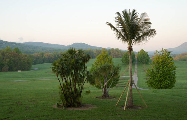 Along the Lines of Displacement, 2018 by Mary Mattingly at Storm King Art Center 