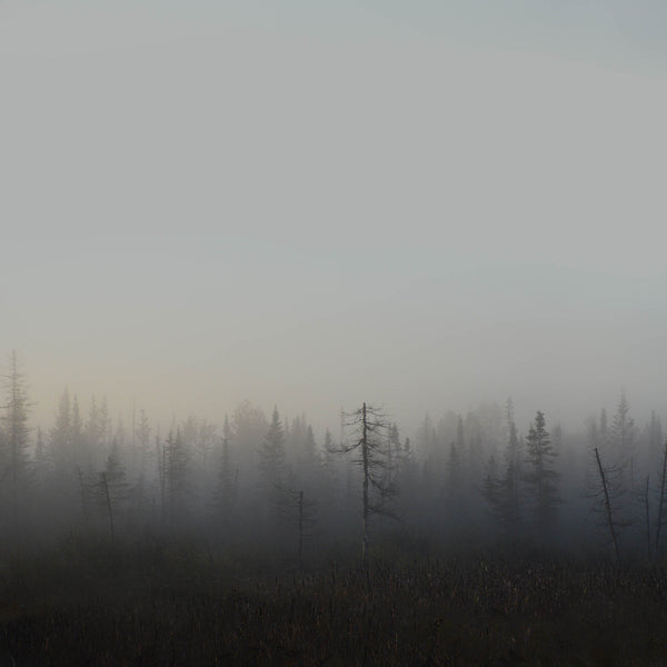 Eagle Mine in the Morning, 2016