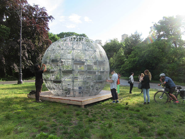 Watershed Core, 2021 by Mary Mattingly with +More Art in Prospect Park, Brooklyn