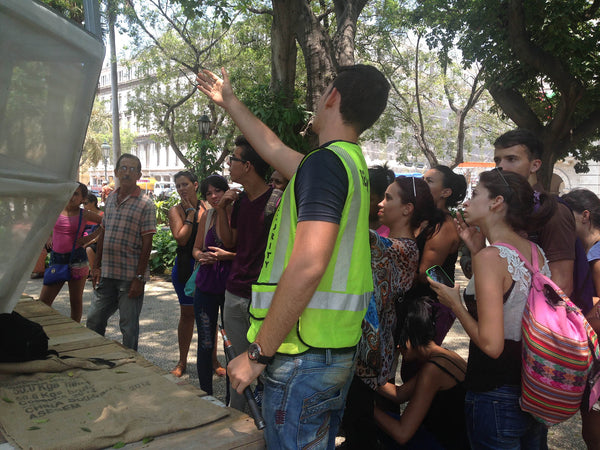 Pull, Havana, 2015, public art project in Havana, Cuba by Mary Mattingly