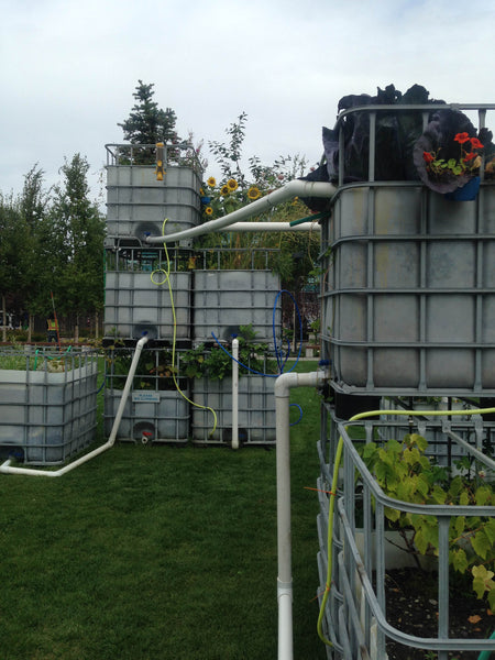 Arctic Food Forest, 2016 at Anchorage Museum by Mary Mattingly