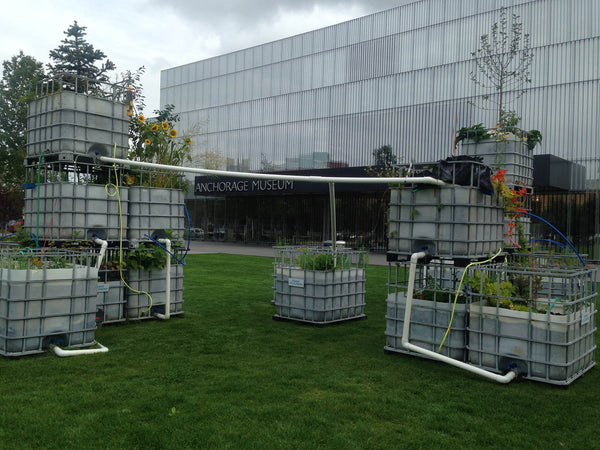 Arctic Food Forest, 2016 at Anchorage Museum by Mary Mattingly