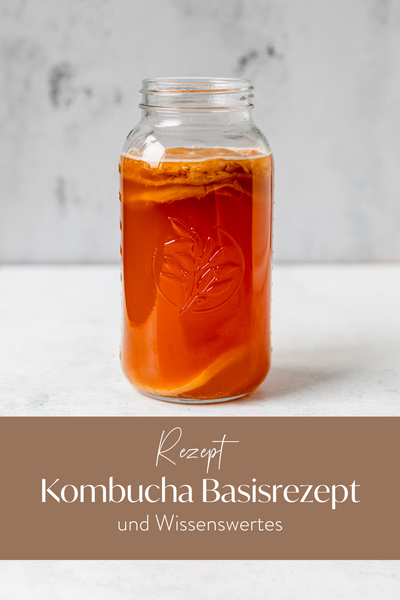 Kombucha Basisrezept Lieblingsglas