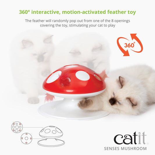 Catit Senses 2.0 Food Tree  Cat Treat & Food Dispenser Toy - The Pet  Beastro