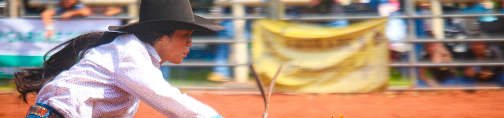 A paniolo (cowboy) riding in a blur.