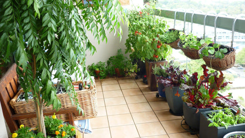 balcony-gardening-in-dubai-thegardenconcept