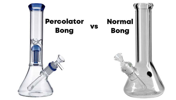 Percolator Bongs