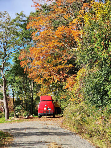 The back of a red cargo van from a distance surrounded by autumn foliage.