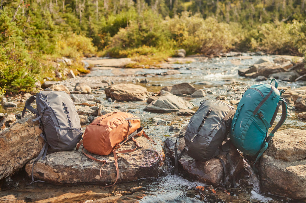 Backpacks sit on ground near creek.