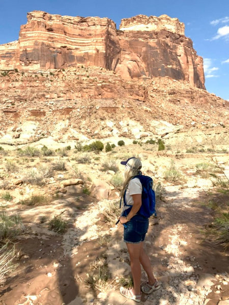 A hiker is wearing a TETON Sports backpack near a desert landscape.