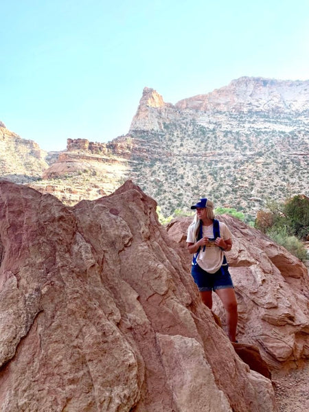 A hiker is wearing a TETON Sports backpack near a desert landscape.
