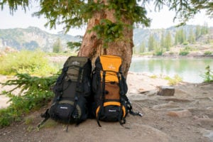 Two TETON Sports Scout & Explorer Backpacks leaning against a tree.