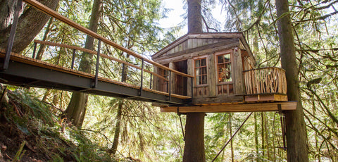 A log cabin treehouse with a wooden walkway sitting inside a forest.