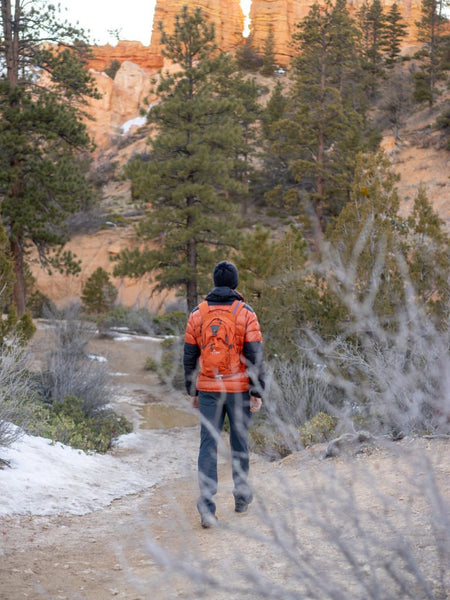 A male hiker is facing a forest while wearing a TETON Sports Oasis Backpack in Burnt Orange.