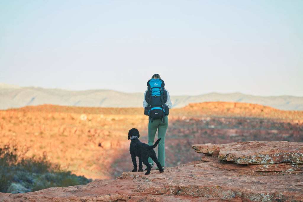 Woman standing looking at view with backpack and dog.