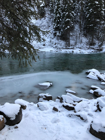 A view of a snowy stream in the forest.