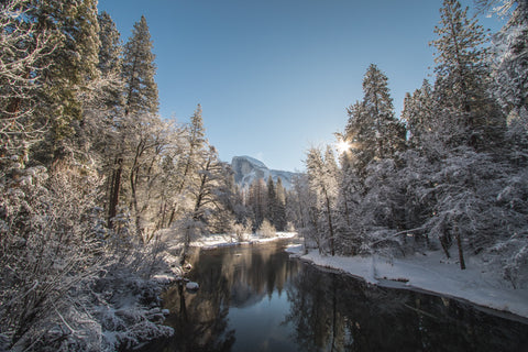 A snowy forest landscape with a stream running down the middle.