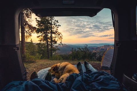 A couple and their dog snuggle up inside a converted van while viewing the morning skyline from their vehicle.