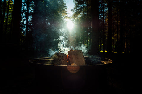 An unlit campfire sits in the forest.