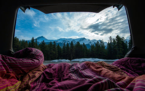 A view from inside a tent of a cloudscape above a forest.