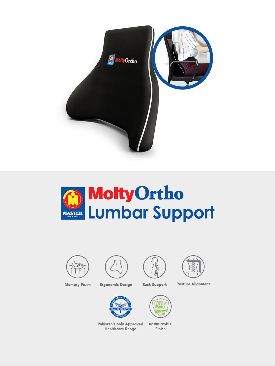 Lumbar Support Cushion– Master MoltyFoam