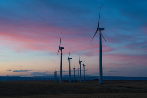 Leinen senkt den CO2-Fußabdruck - lägre koldioxid med linne