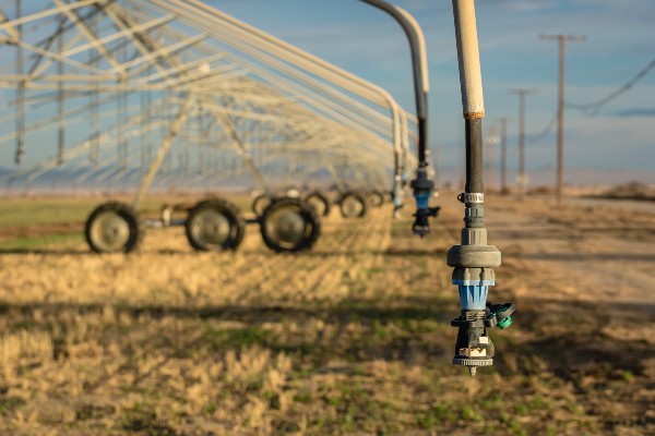 Irrigation des champs de coton