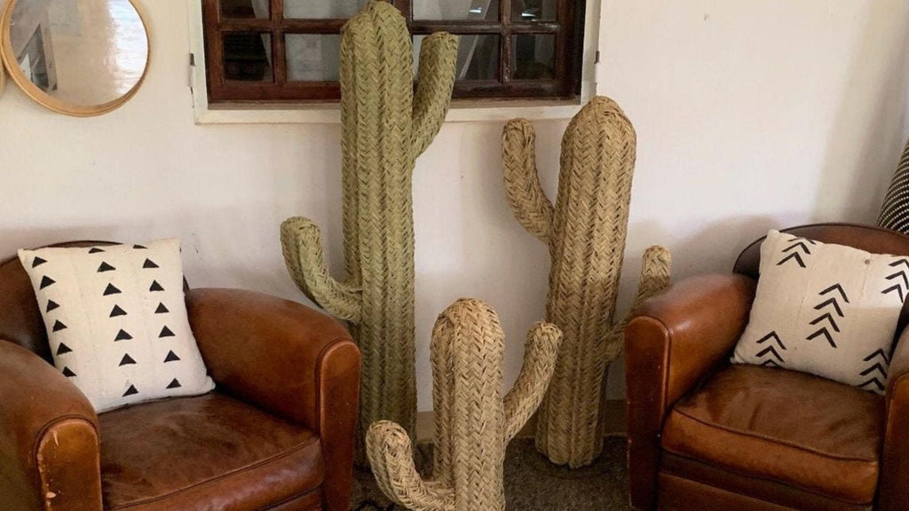 Cactus osier