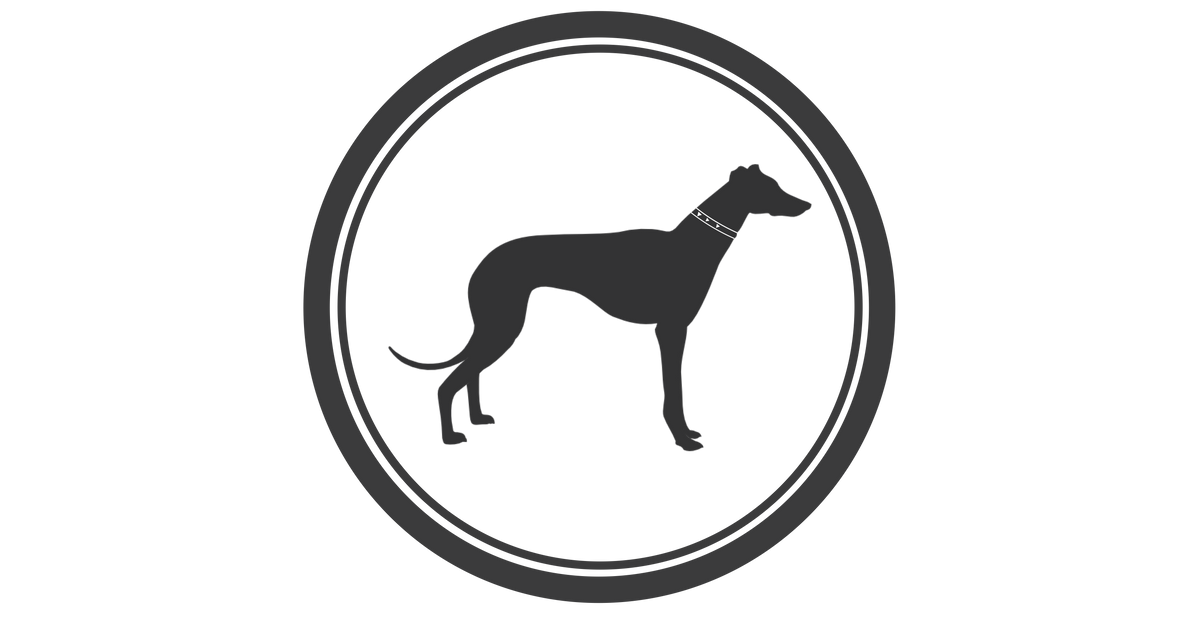 Delray Feed and Supply Designer- Inspired Adjustable Dog Collar – Delray  Feed & Supply