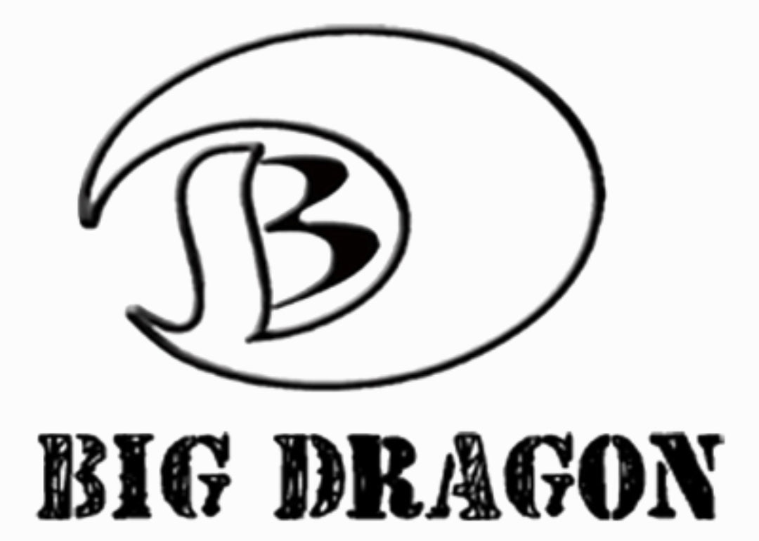 Big Dragon logo