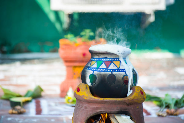 pongal celebration