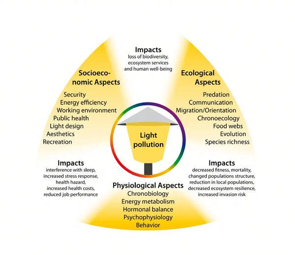 Negative-Effects-of-Light-Pollution