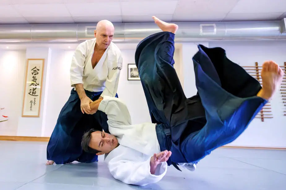 Mountain Aikido