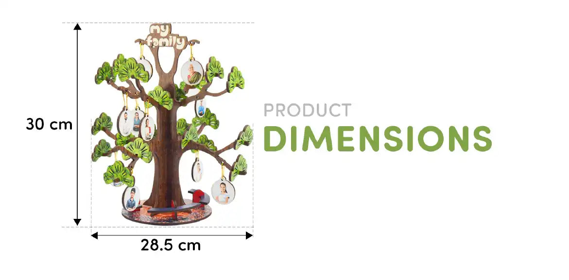 Buy DIY Family Tree Model for Kids age 8 to 12 Year Old