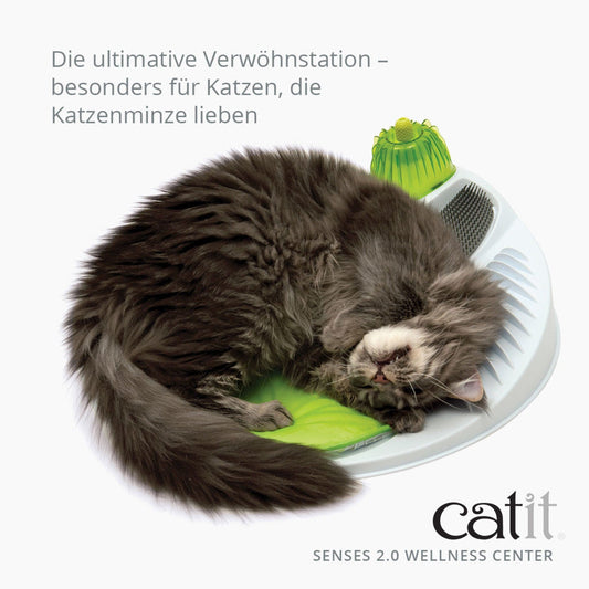 Ersatz-USB-Adapter und USB-pumpe für Catit Trinkbrunnen – Catit Deutschland