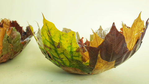 DIY Leaf bowl