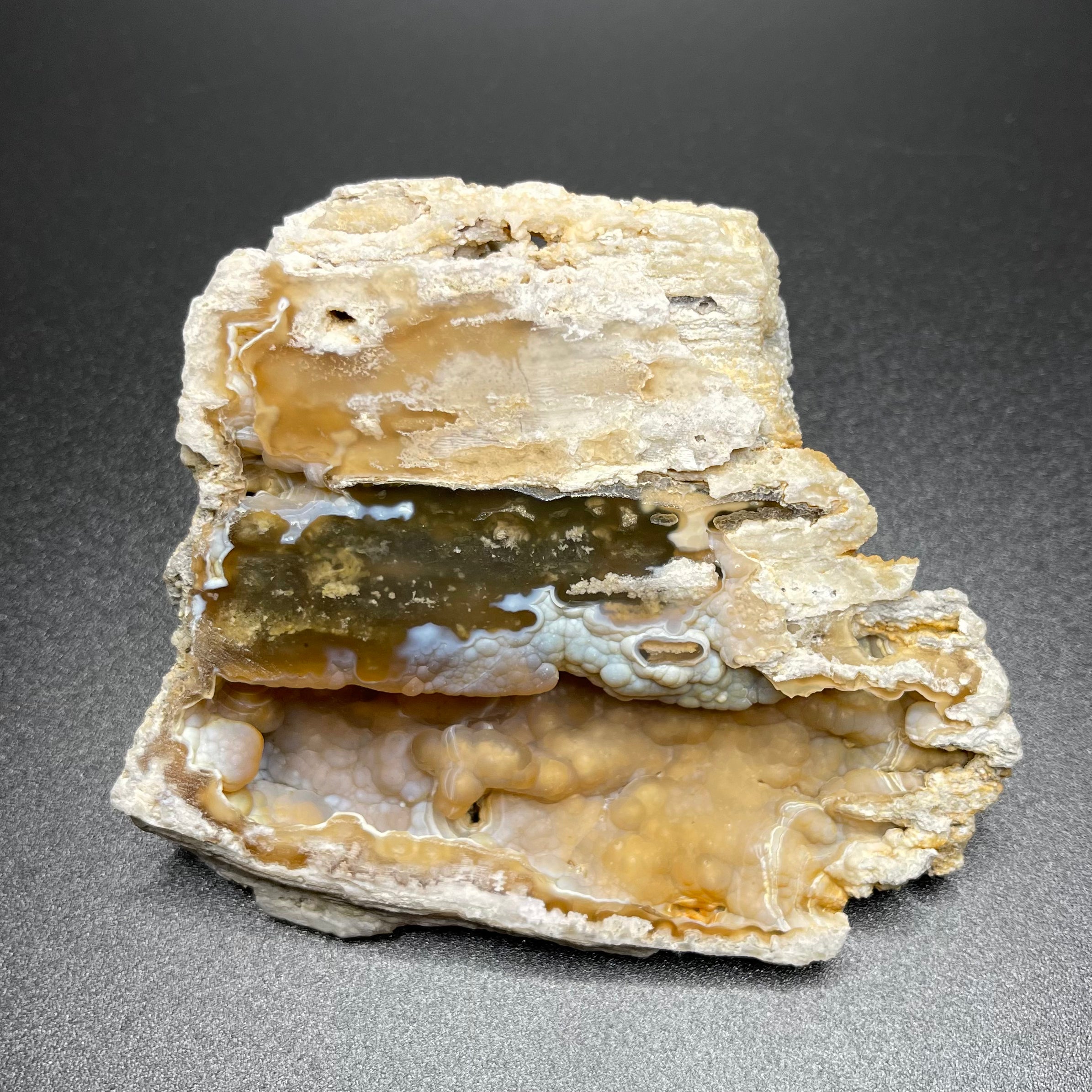 Agatized Fossilized Coral