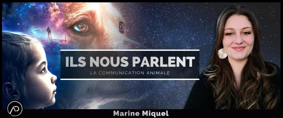 Marine Miquel Communication animale