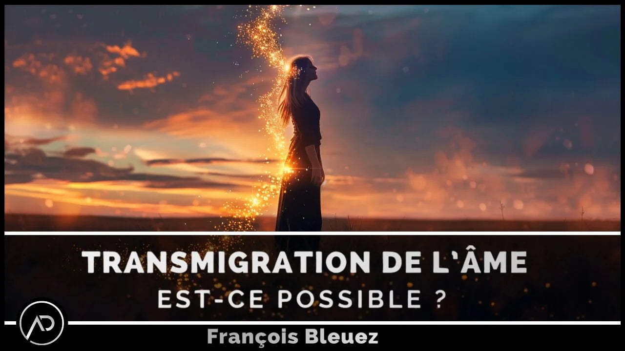 Transmigration de l'âme