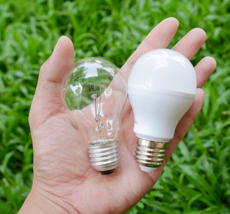 led globes in hand