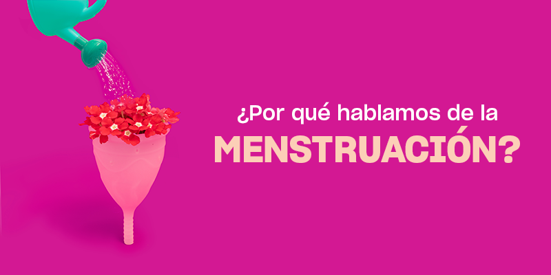 ¿por Qué Necesitamos Hablar De La Menstruación