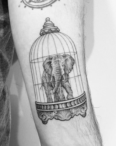 Cage the Elephant Tattoo