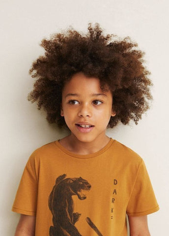 Black Boy Afro Hairstyle