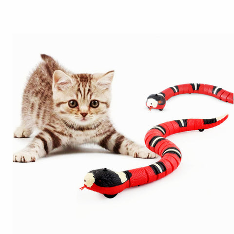 Brinquedos inteligentes do gato que detectam o jogo eletrônico automático  interativo do gato da serpente que teasering brinquedos do gatinho  recarregável de usb para gatos cães pet - AliExpress