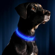 TownX ION® Led Dog Collar