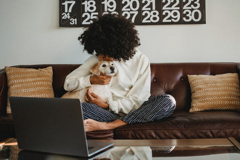 dog on couch with woman