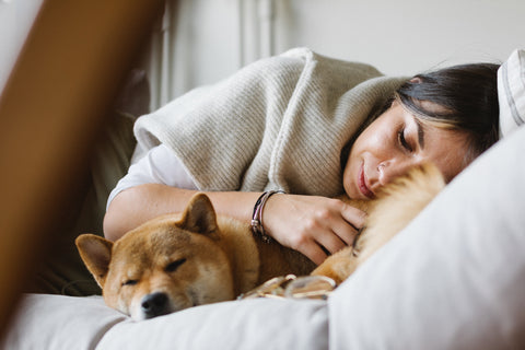 dog sleeping on couch with woman