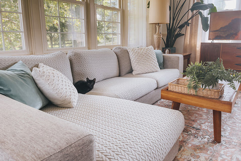 kitten laying on a couch with couch covers