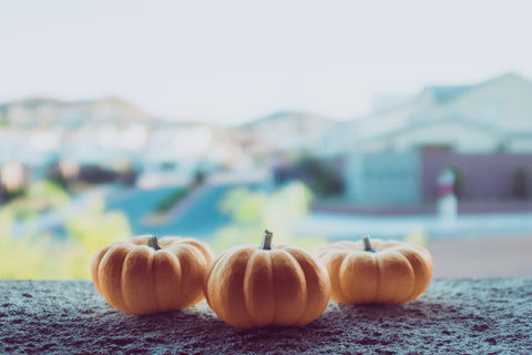 mini pumpkins