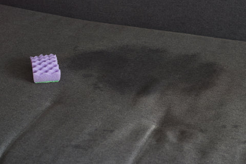 stain on a sofa with a sponge